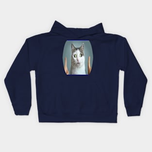 cat meme Kids Hoodie